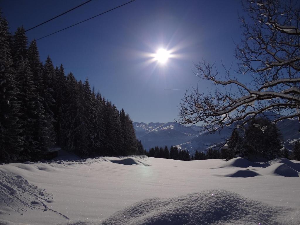 Das Sonnleiten Ski- Und Motorradhotel Bruck Im Zillertal Bruck am Ziller المظهر الخارجي الصورة
